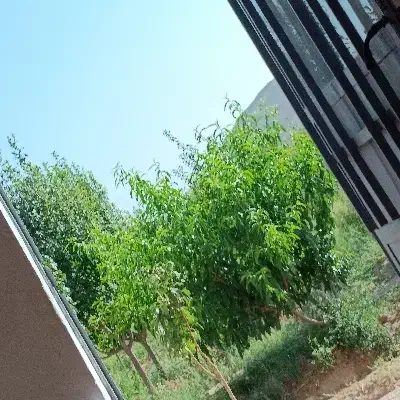 فروش فوری باغ گوجه سبز خانه(تهاتر با ملک یا ماشین)