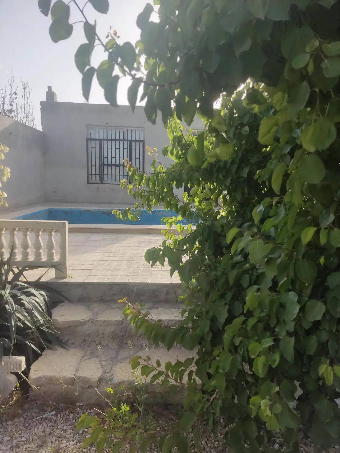 باغ ویلا با استخر تابستانه و درختان میوه