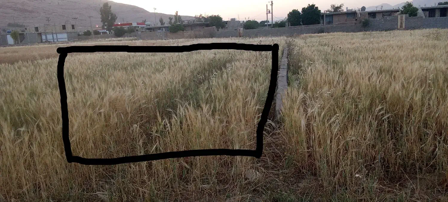 زمین واقع در جاده پیان