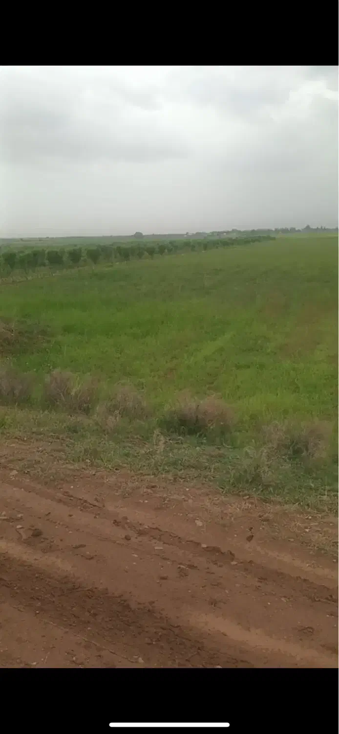 زمین ۸ هزارمتر