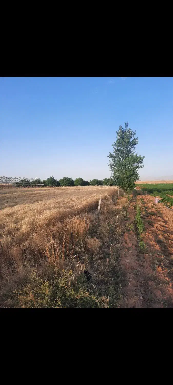گلخانه - مجموعه مناسب سرمایه گذاری