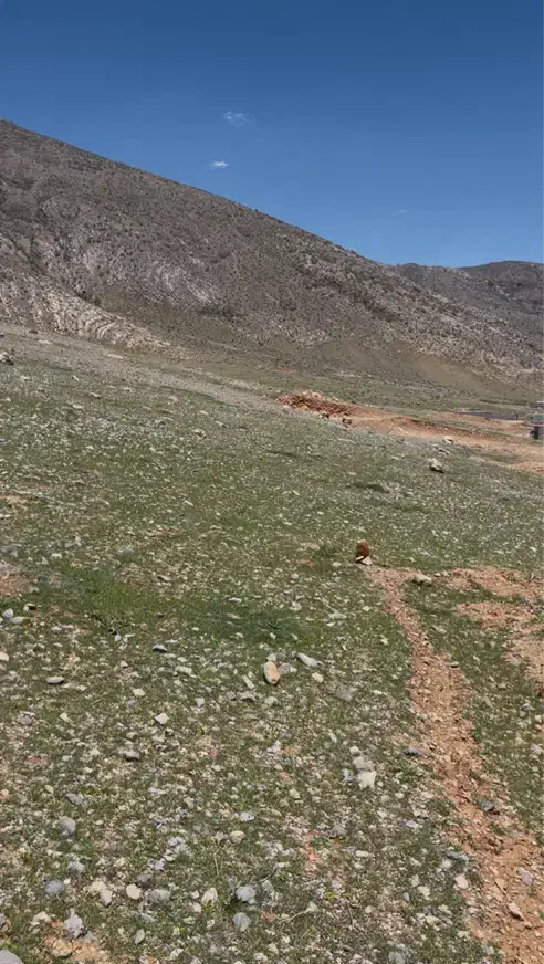 زمین مسکونی کهمان