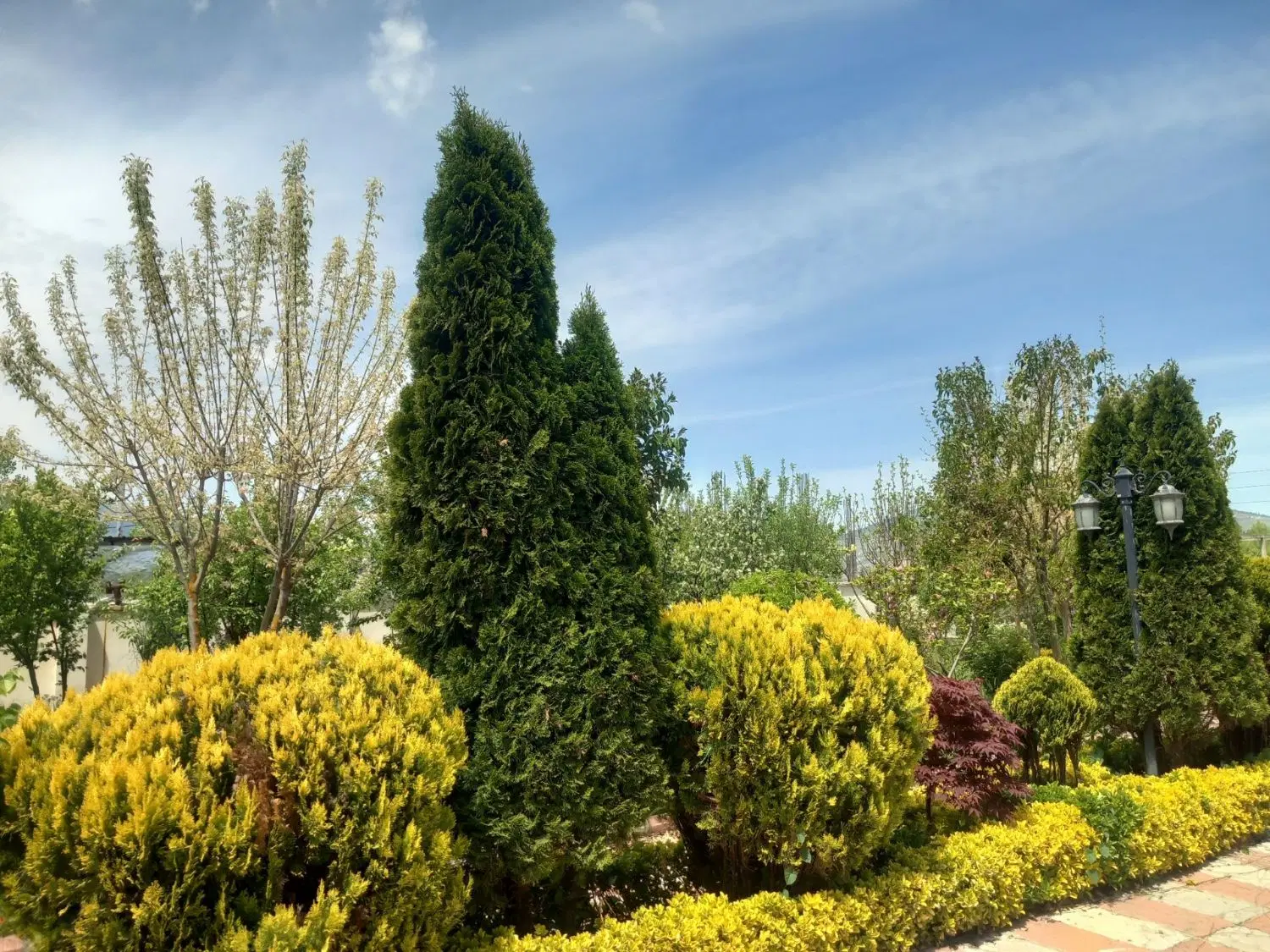 زمین مسکونی با سند