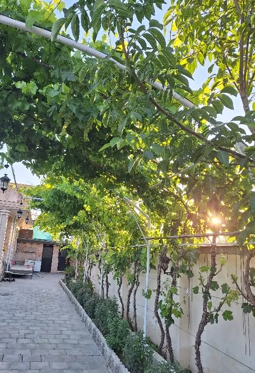فروش زمین ویلایی جاده سنتو