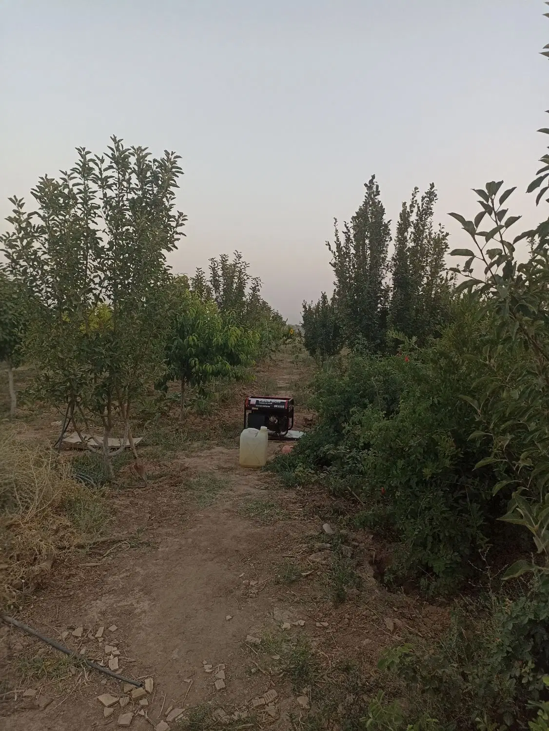 فروش باغچه