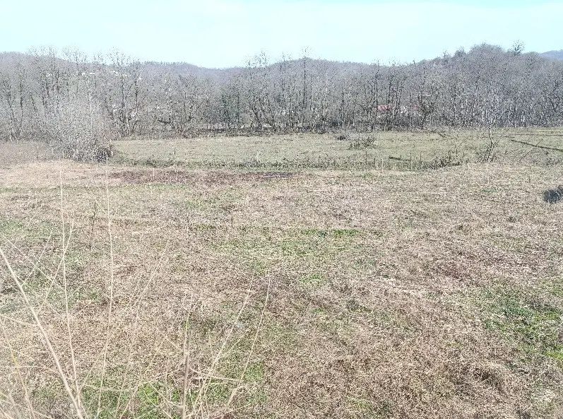 زمین مسکونی واقع در روستای ملکرود پایین
