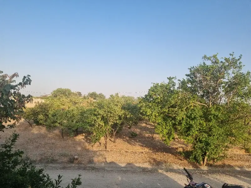 باغ چهاردیواری