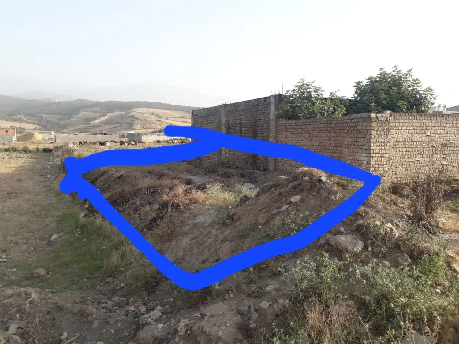 زمین ۹۸ متری چناران ۳۲_۱