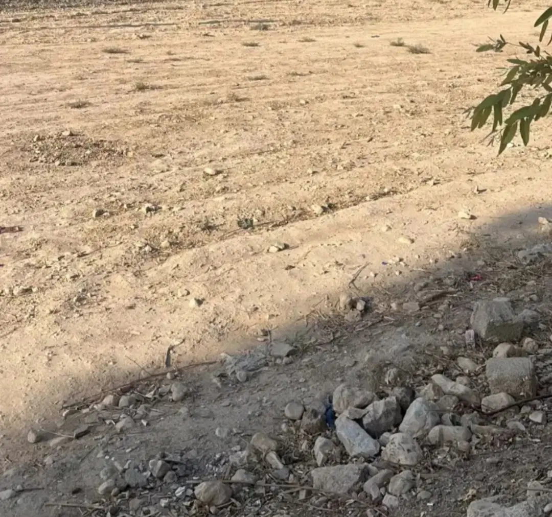 زمین سهلکی