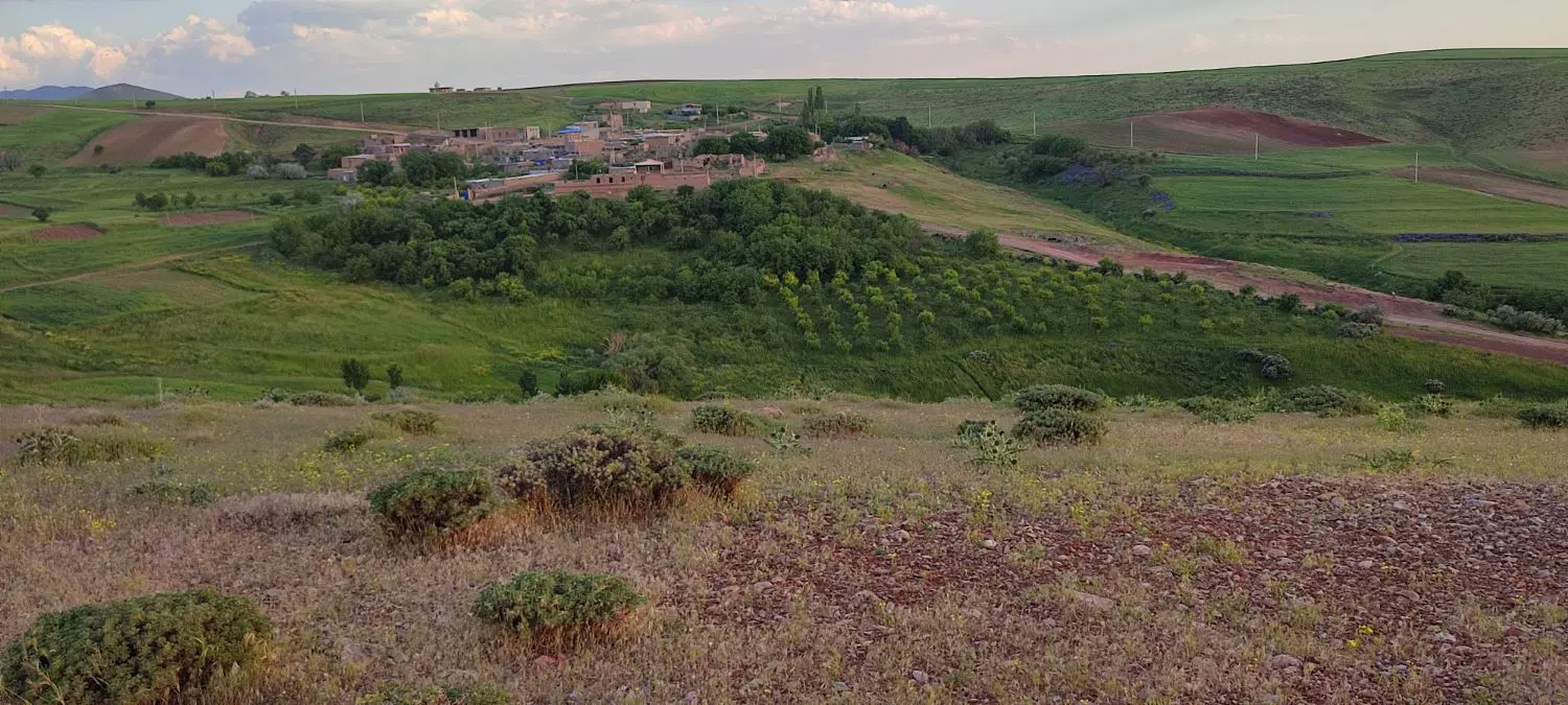 باغ در روستای جهانگیرکندی نزدیک جاده سرچم