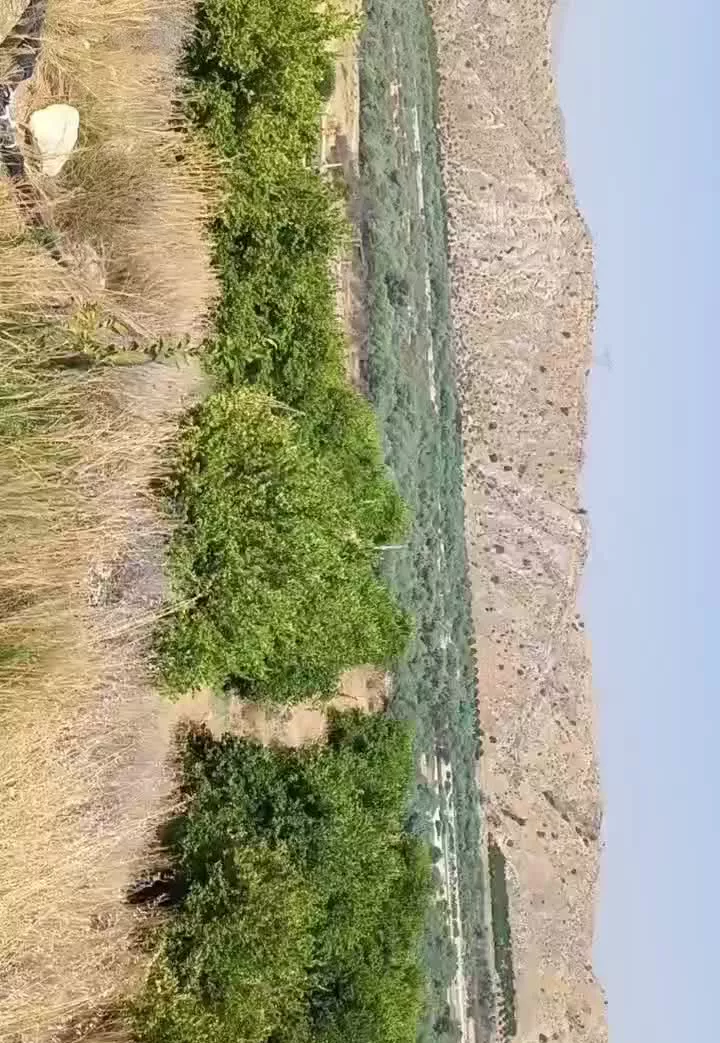 باغ لیمو ومرکبات پشتکوه باشت