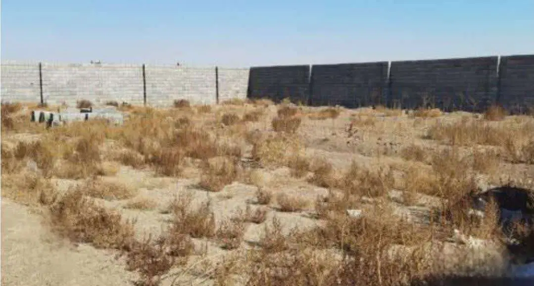 اجاره زمینی در بلوار شهیدعباسپور (پارادیس)