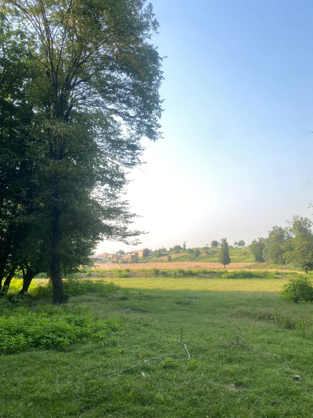 زمین مسکونی ویلایی