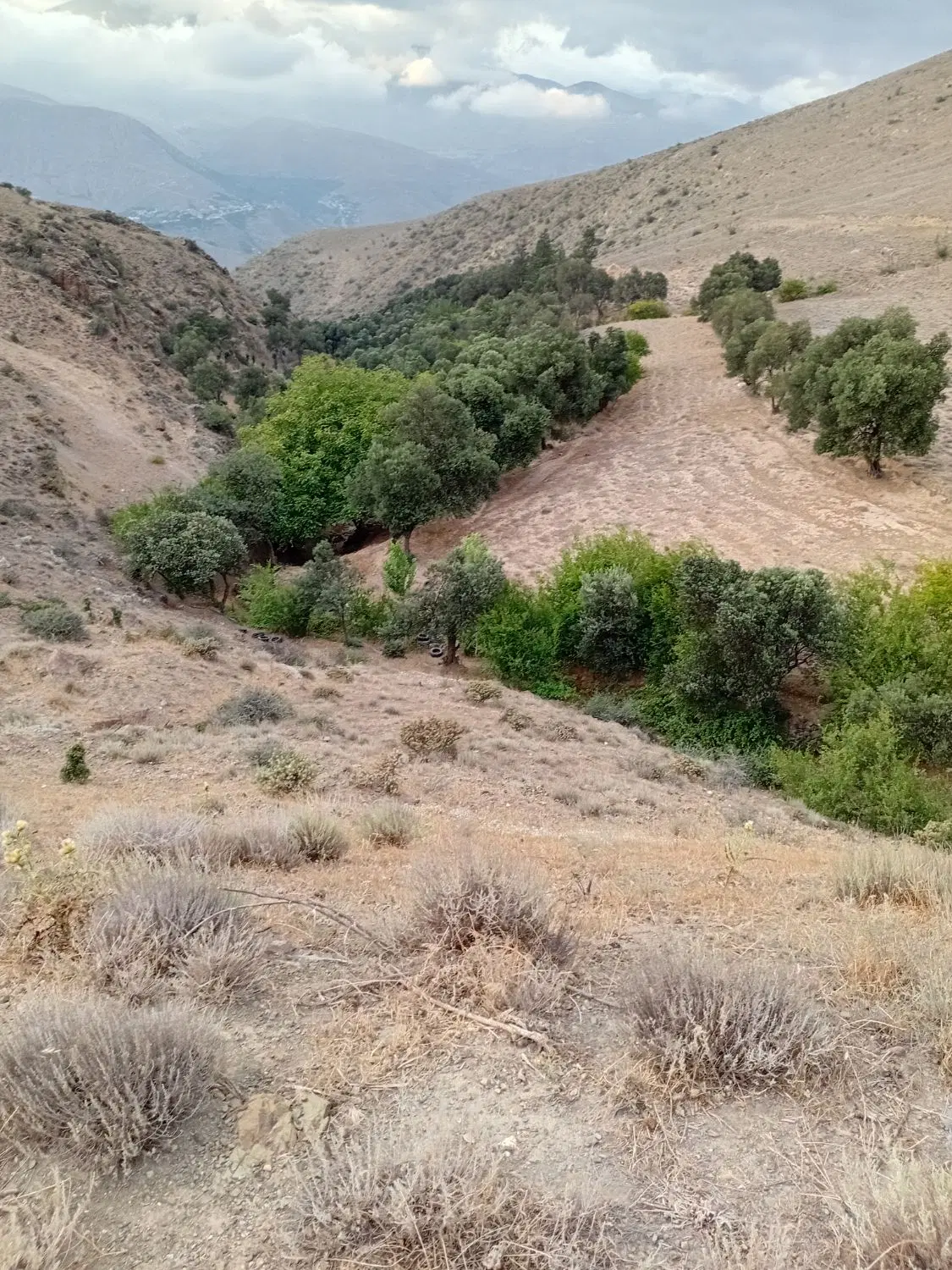زمین مناسب جهت (مرغداری)کشاورزی دامداری خانه باغ