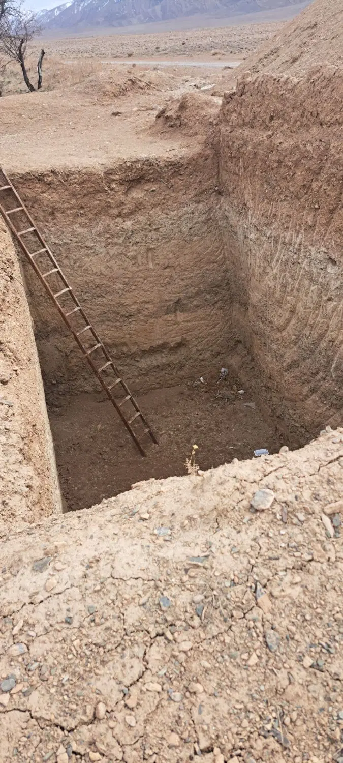 باغ انگور به متراژ ۱۵۰۰ متر