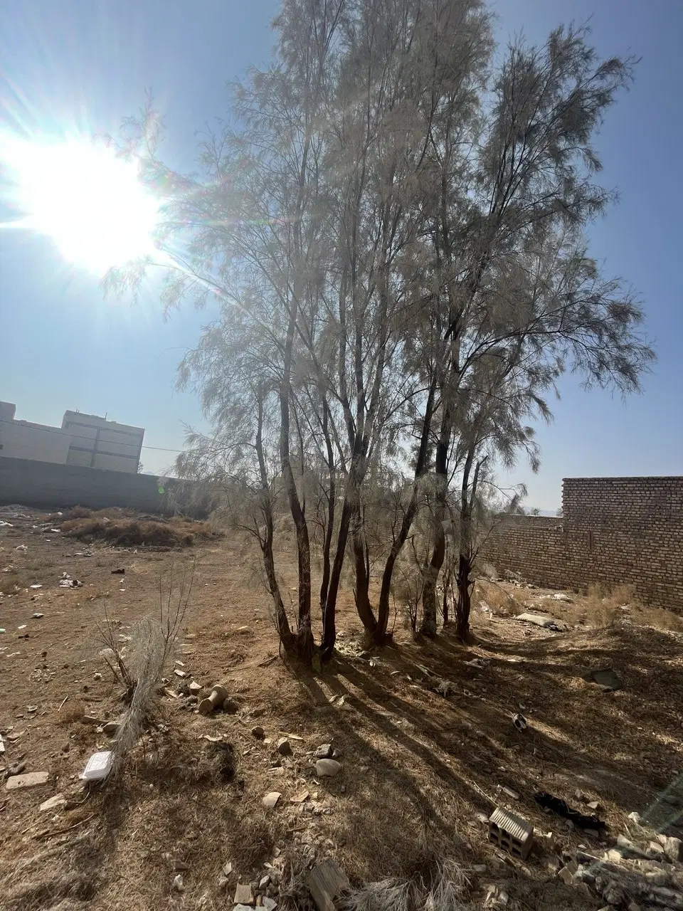 زمین متری بهارستان