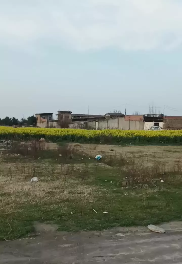 زمین مسکونی