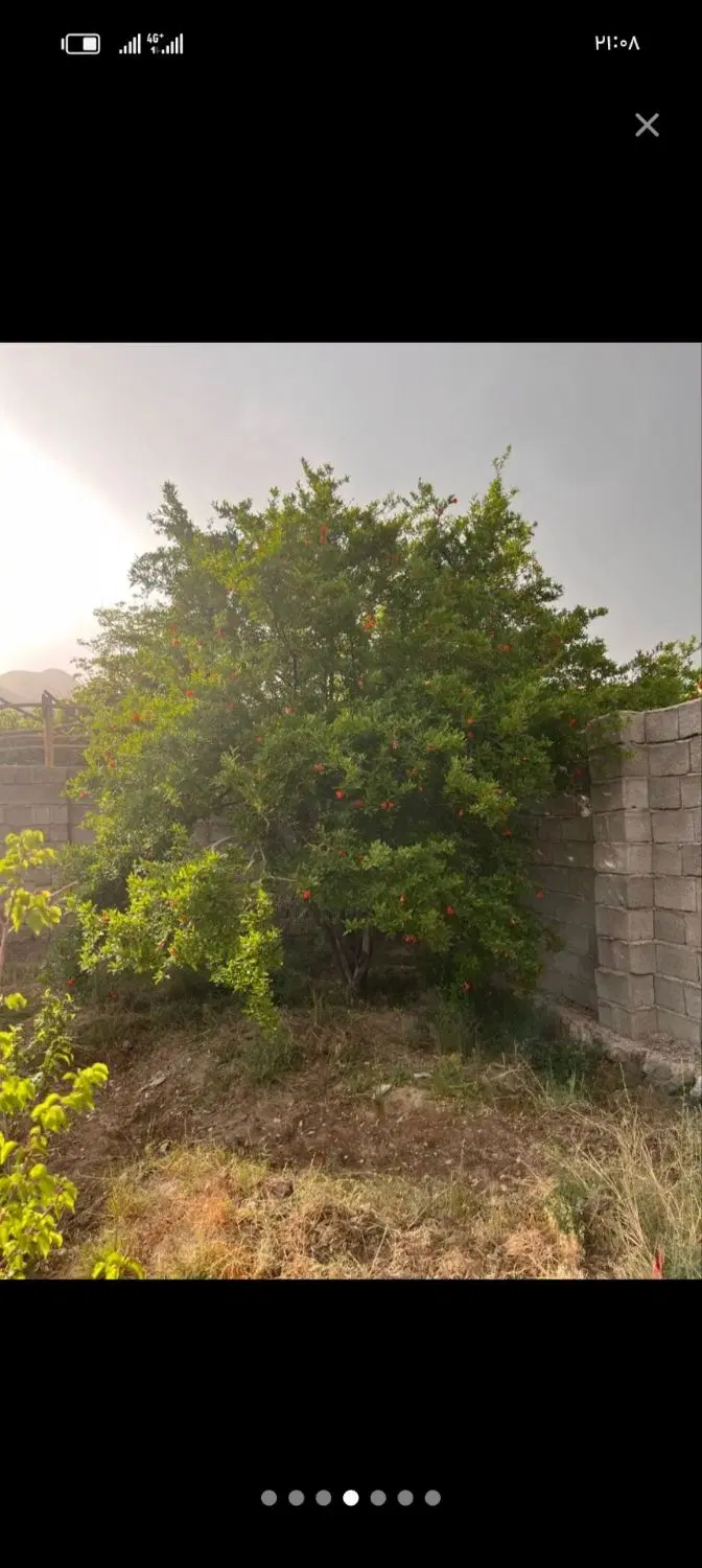 باغ سیرچ