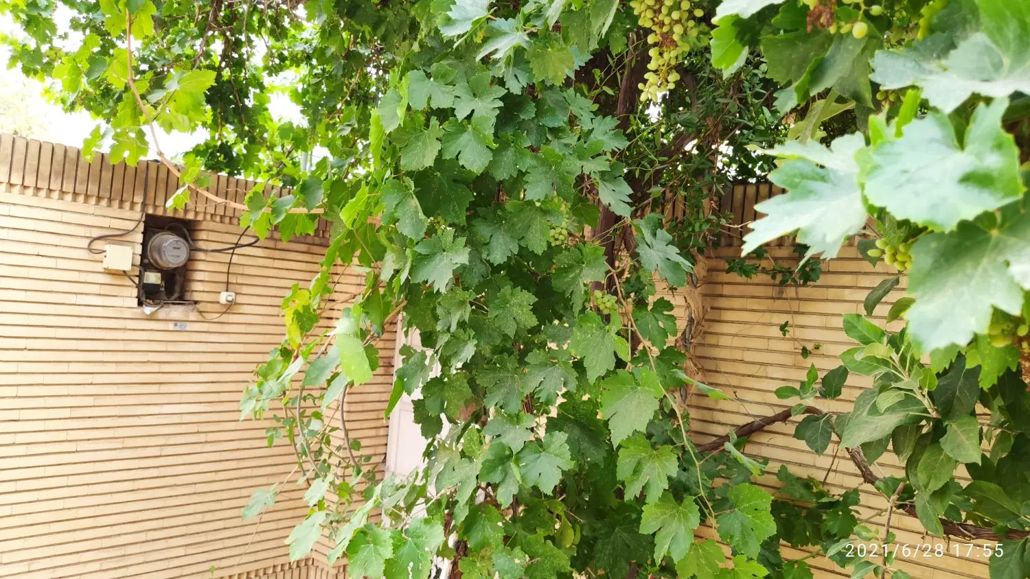 فروش منزل ویلایی مخابرات فرعی غربی شمالی