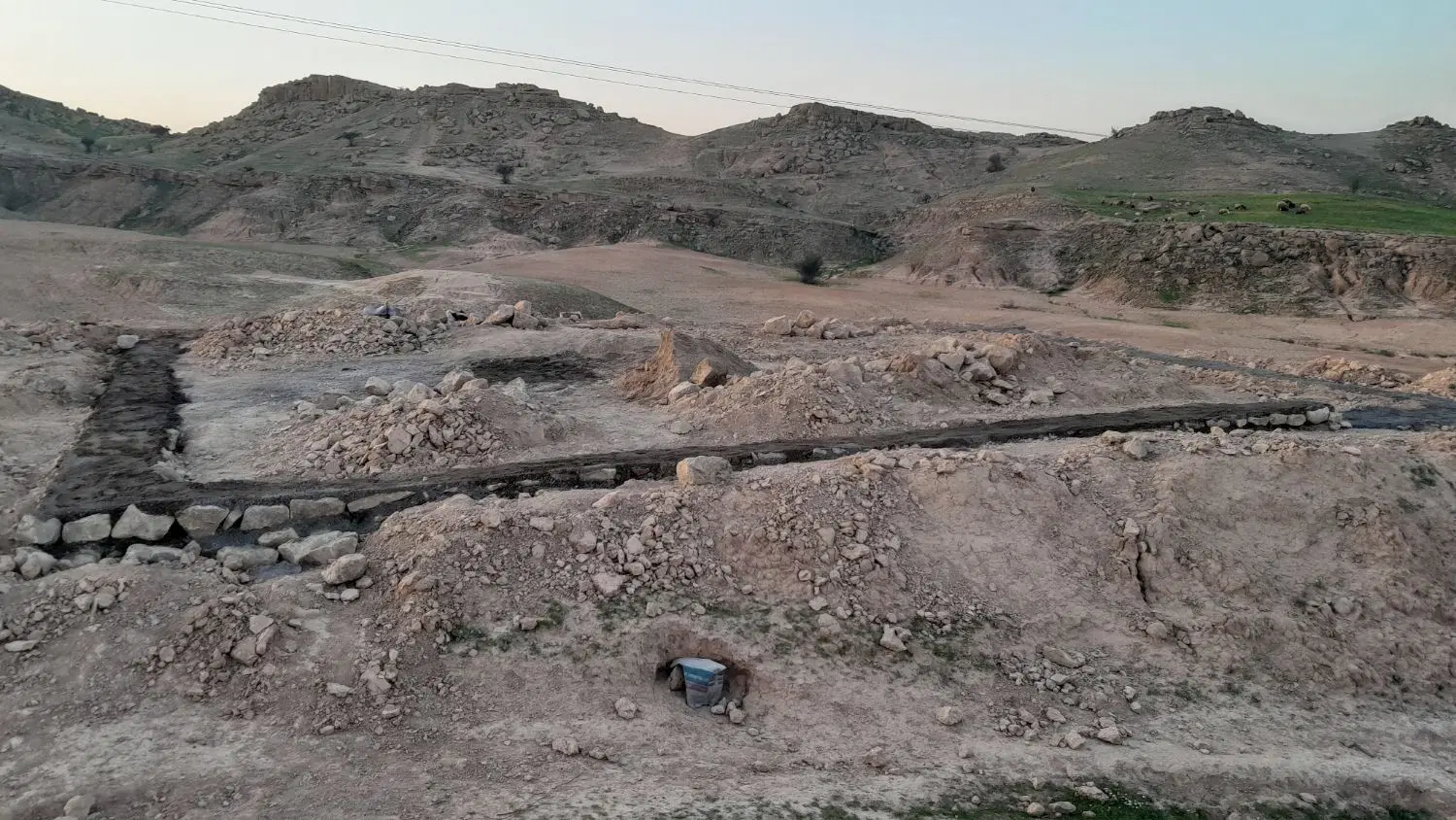 زمین