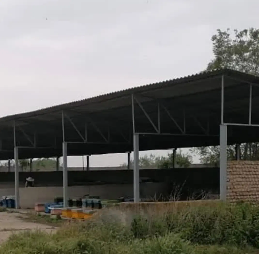 دامداری زیر زیر قیمت