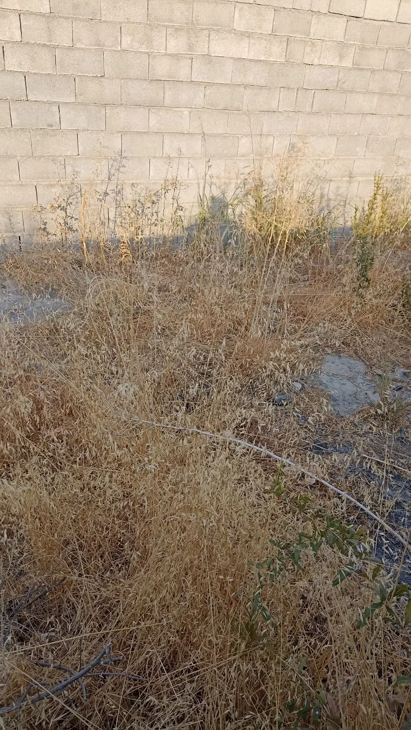 یه قطعه زمین تجاری