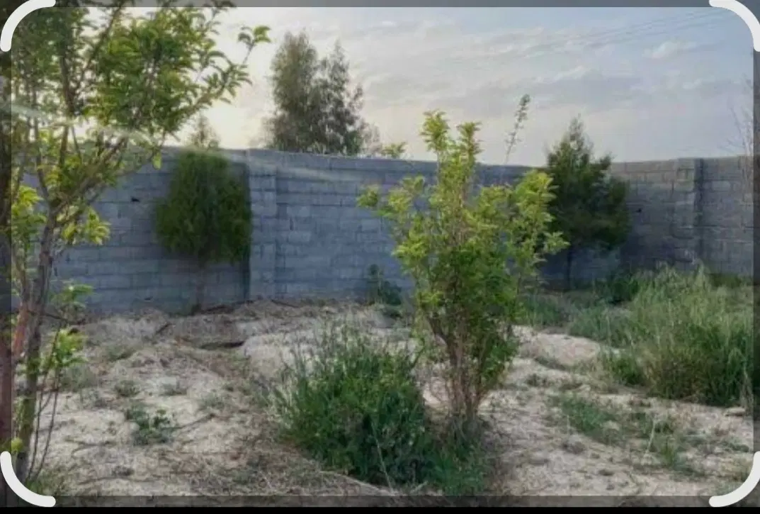 باغچه چهار دیواری