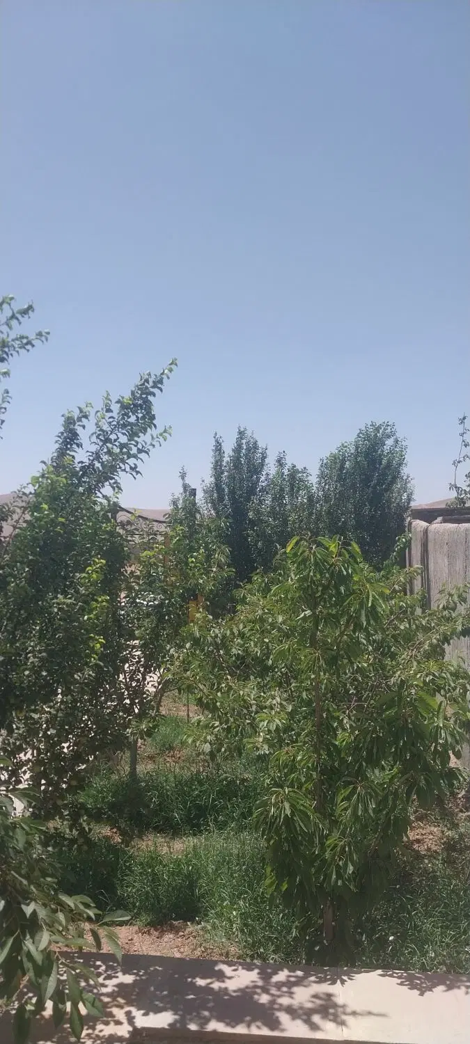 ۳۰۰متر باغچه گرمآبسرد