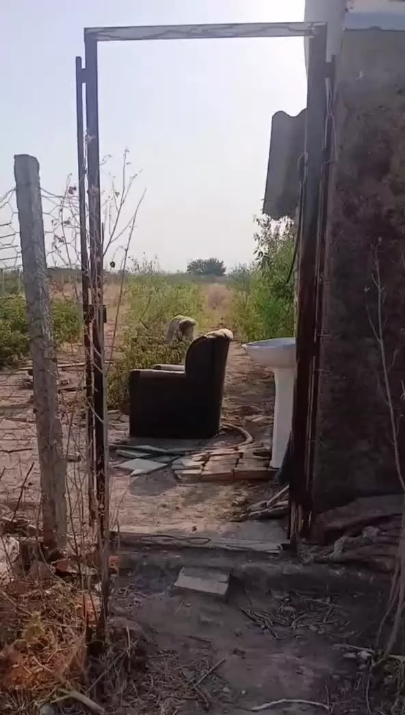 باغ نرسیده به کورانه