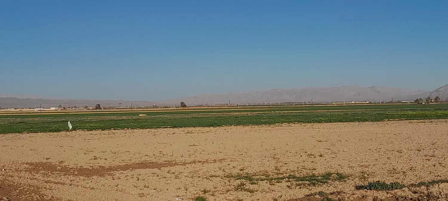 فروش زمین کشاورزی عکسها از همین ملک هست