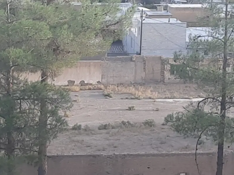 زمین فروشی