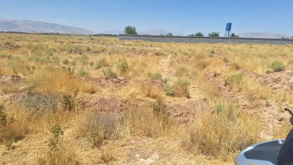 زمین در دودمان 250 متری