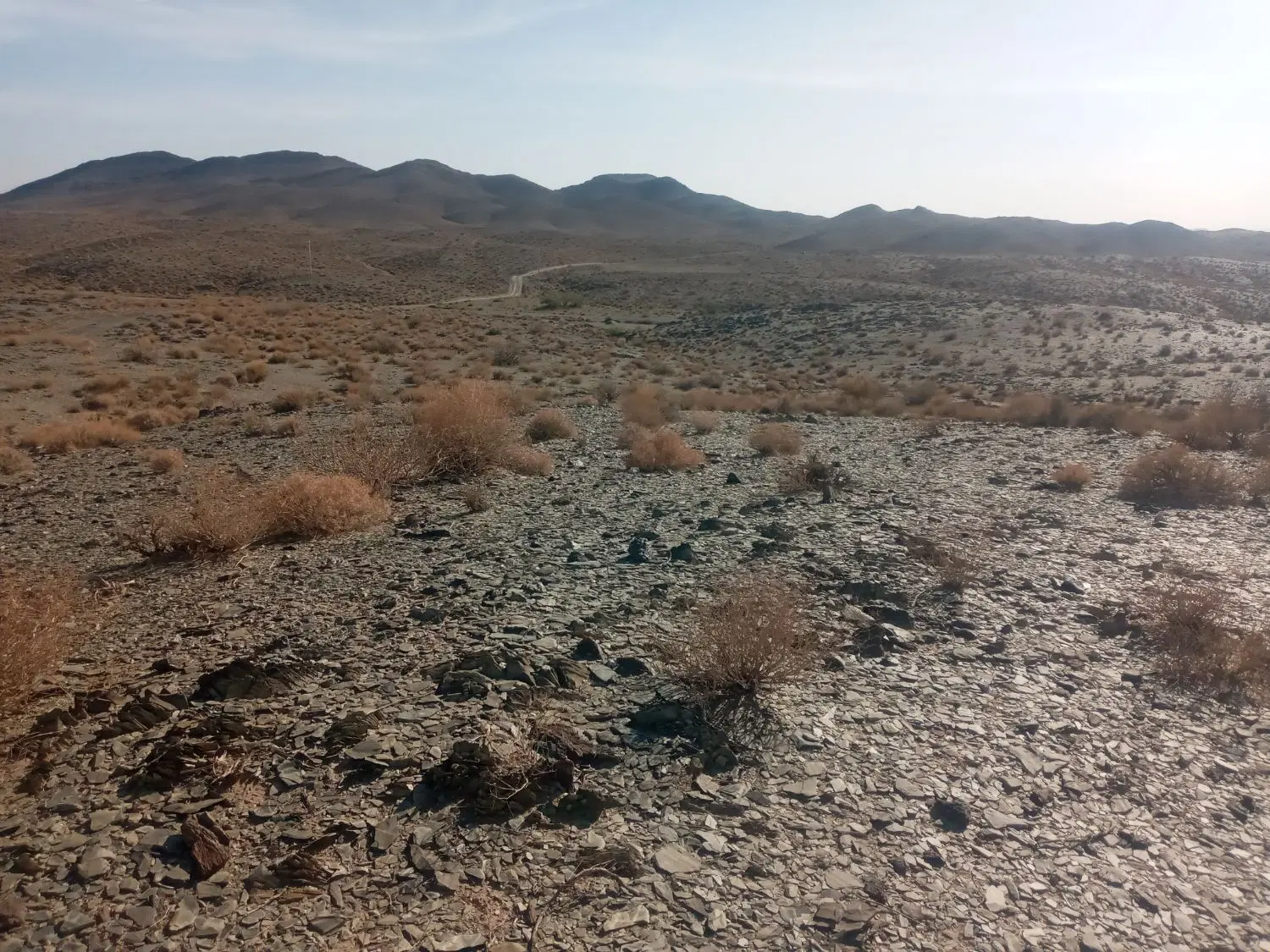 زمین در چشمه زیارت