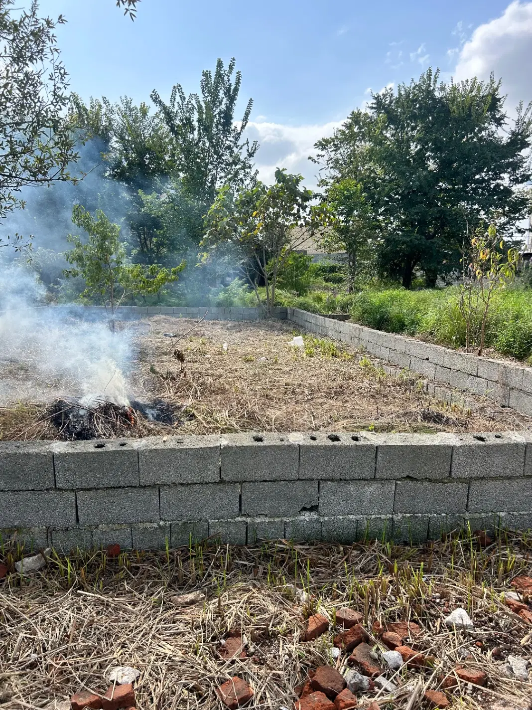 زمین ۱۲۰متر صنوبر ۲۶