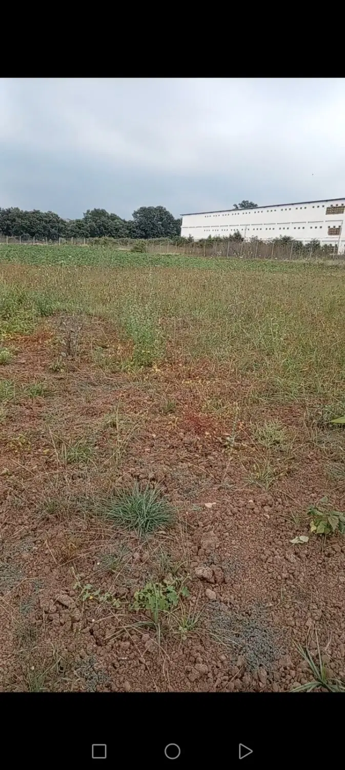 زمین باغی فنس دار