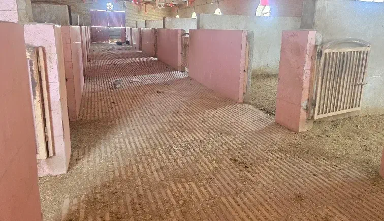 اجاره باشگاه اسب و دام پروری