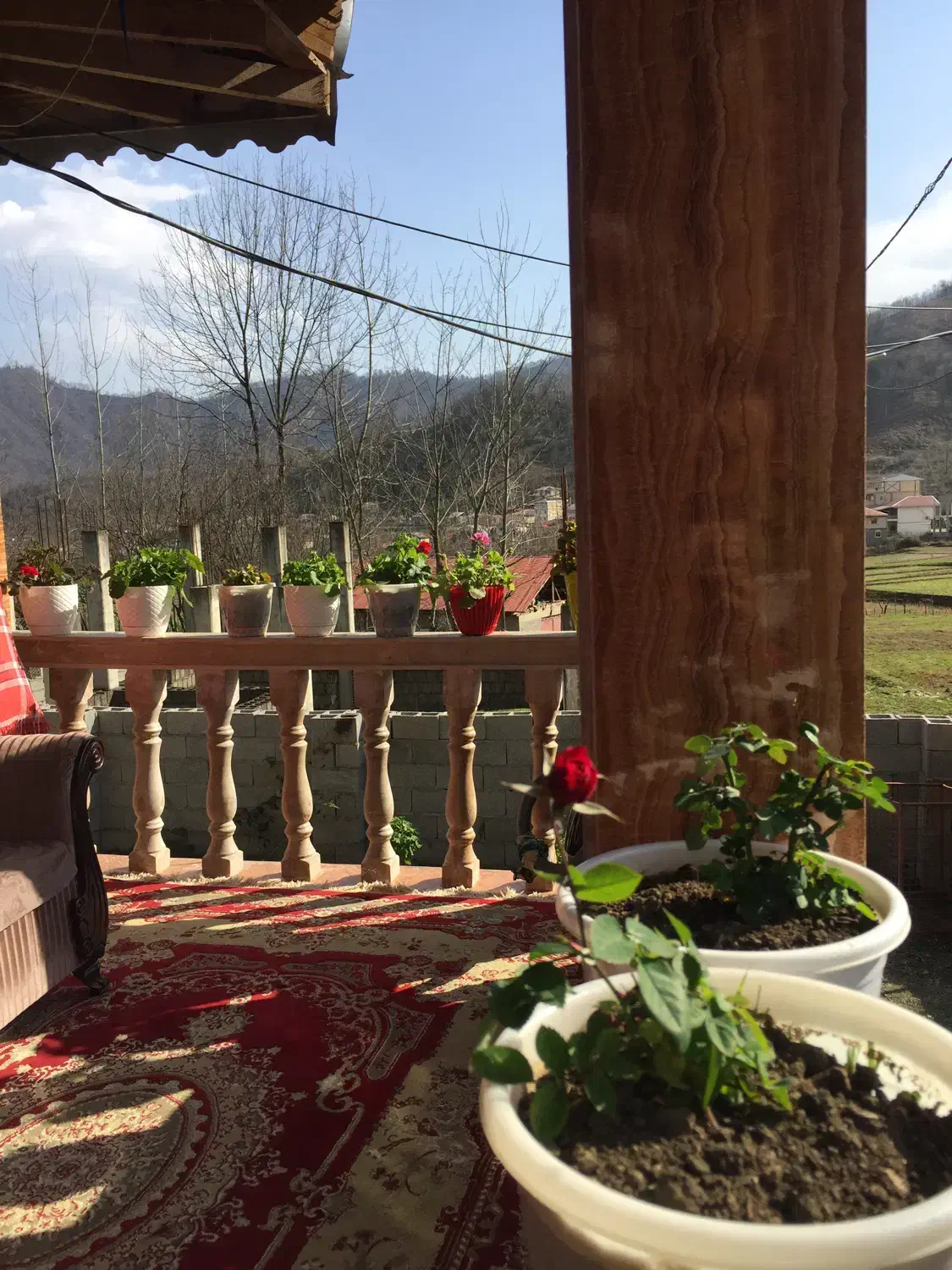 اجاره ویلا جنگلی در دل جنگل