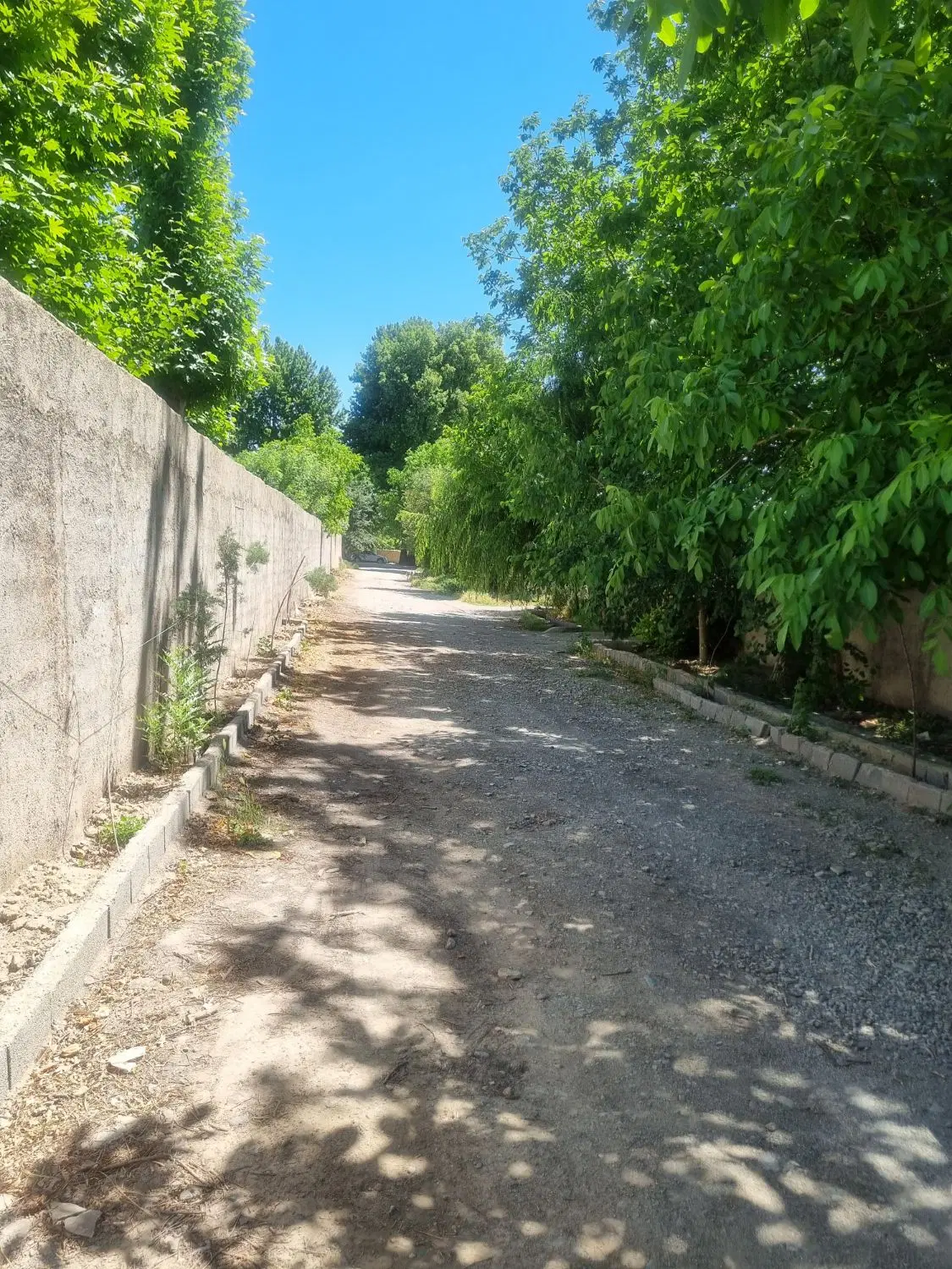 فروش باغ ۳۳۰متری بامجوز ساخت درشهریار