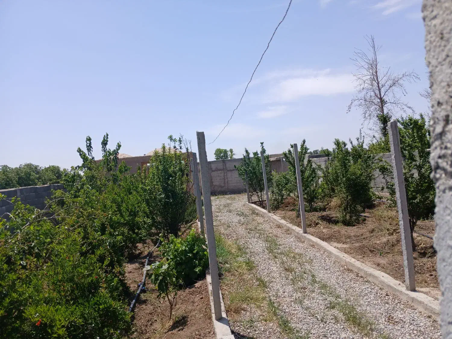 باغچه ۶۰۰ متر فروشی یا معاوضه