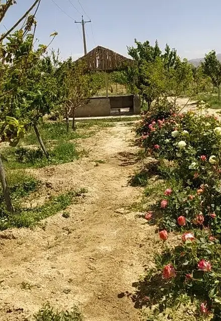 باغ فروشی سند دار