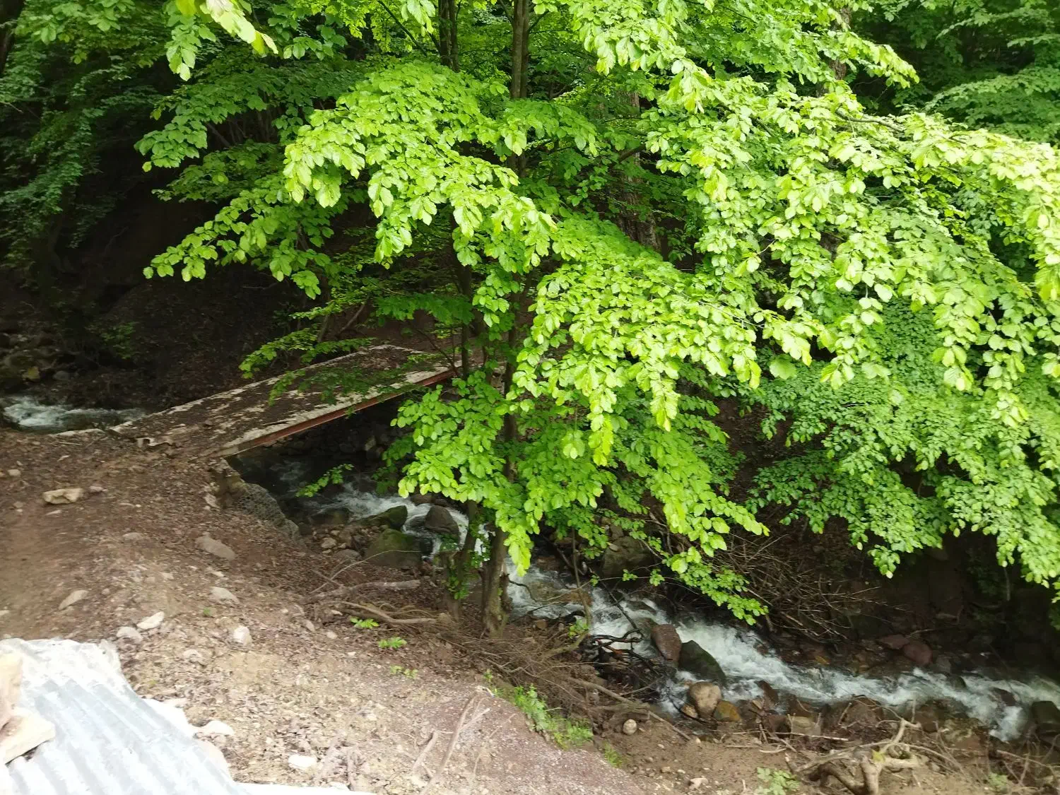 زمین جهت سرمایه گذاری