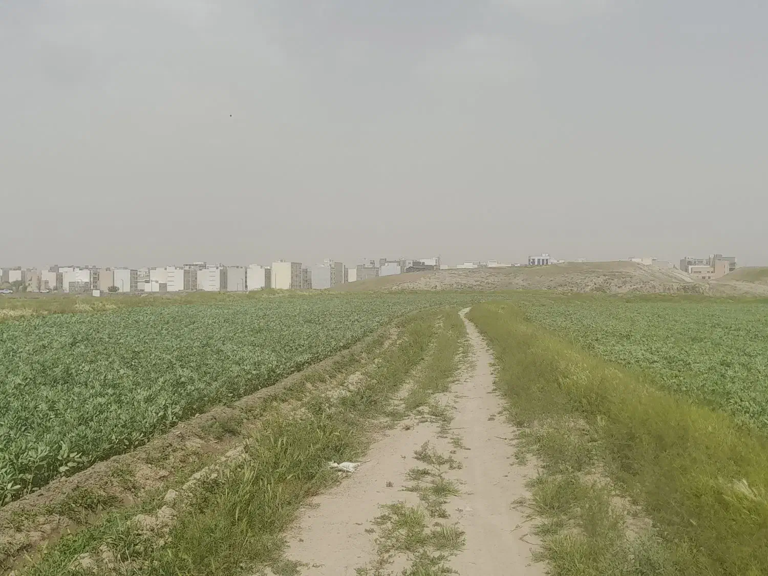 فروش ۵۰۰متر زمین کشاورزی جاده ینگیجه