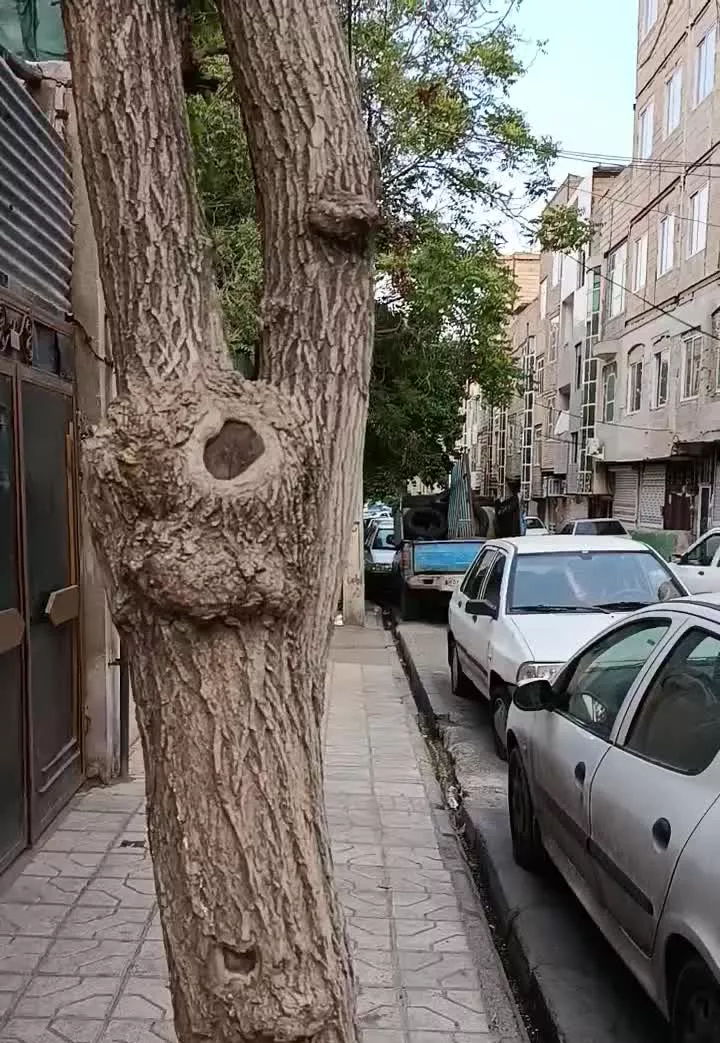 منزل خلج رهن