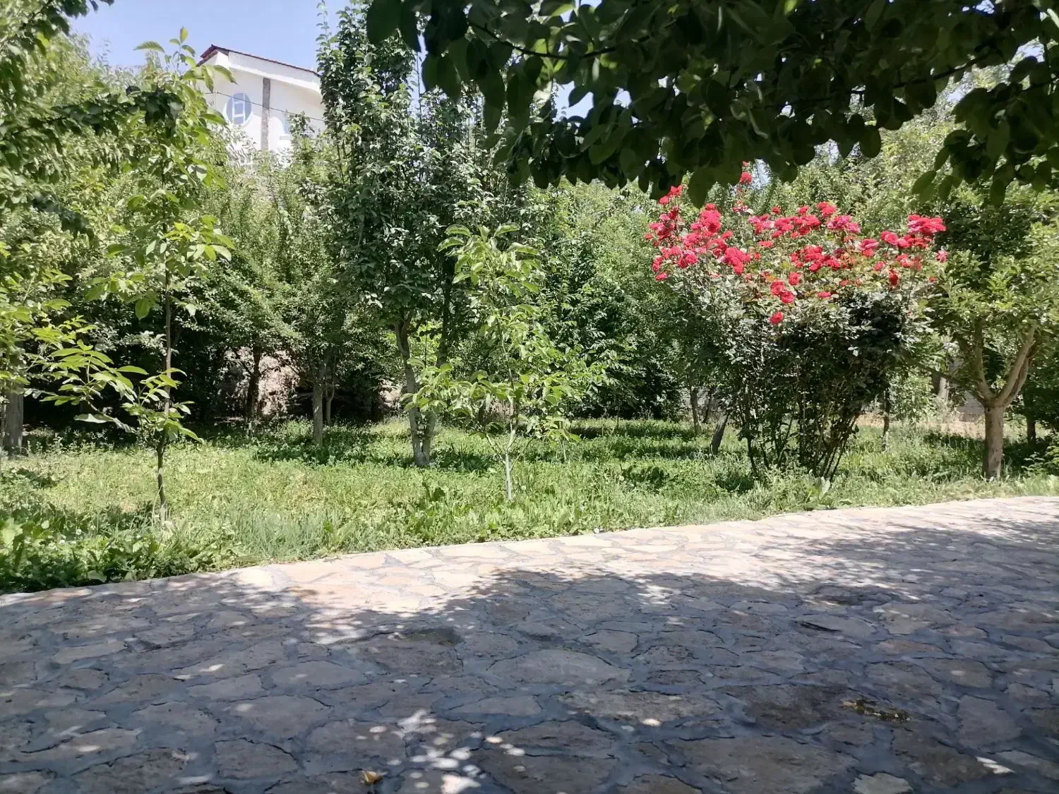 باغ ویلا استخر جکوزی منطقه چشم انداز شاندیز