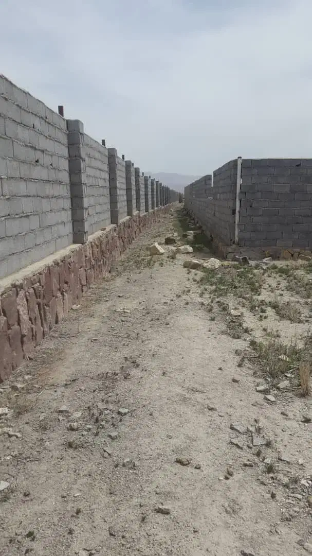 دامداری بره پروار صنعتی چناران 200 راس