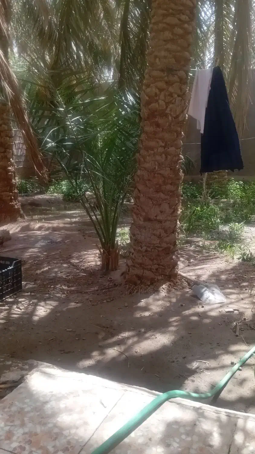 18متر کانکس