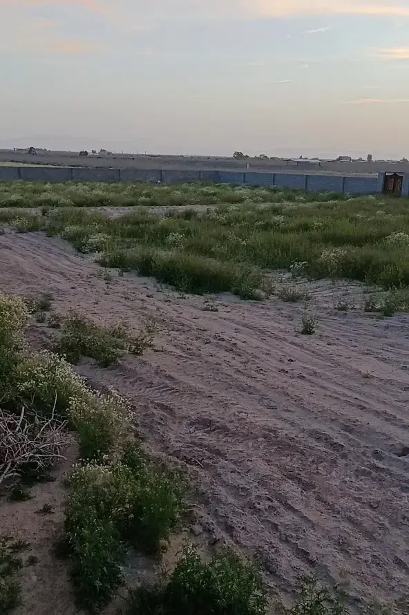 زمین