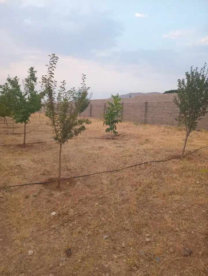 باغچه باغ 580 متری  خان زنیان