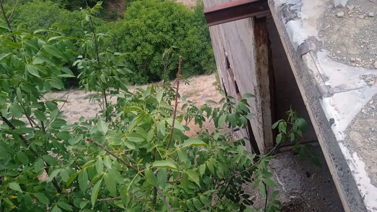 زمین ۶۰۰ متری جاده چالوس