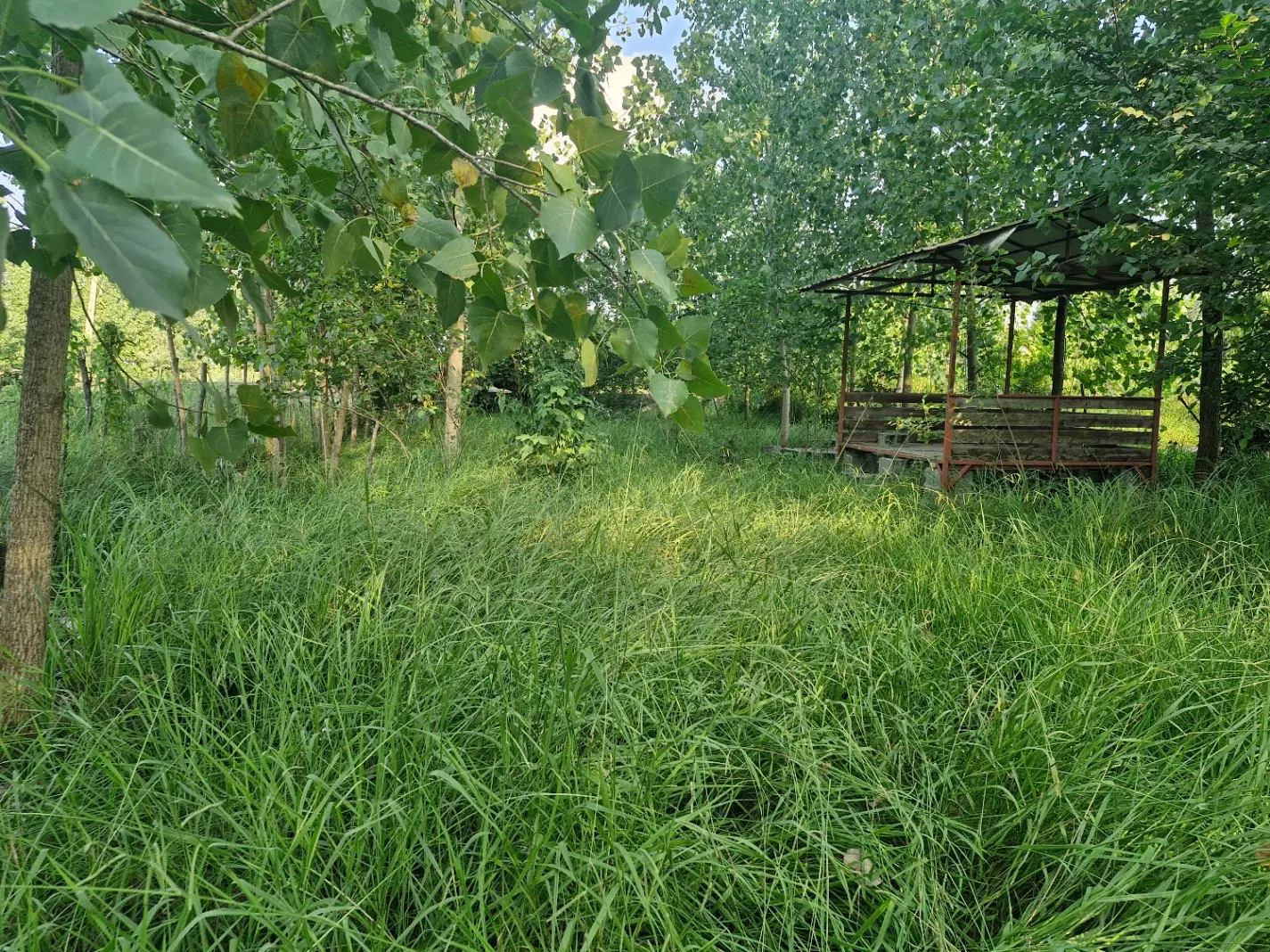 ۴۵۰ متر زمین مسکونی